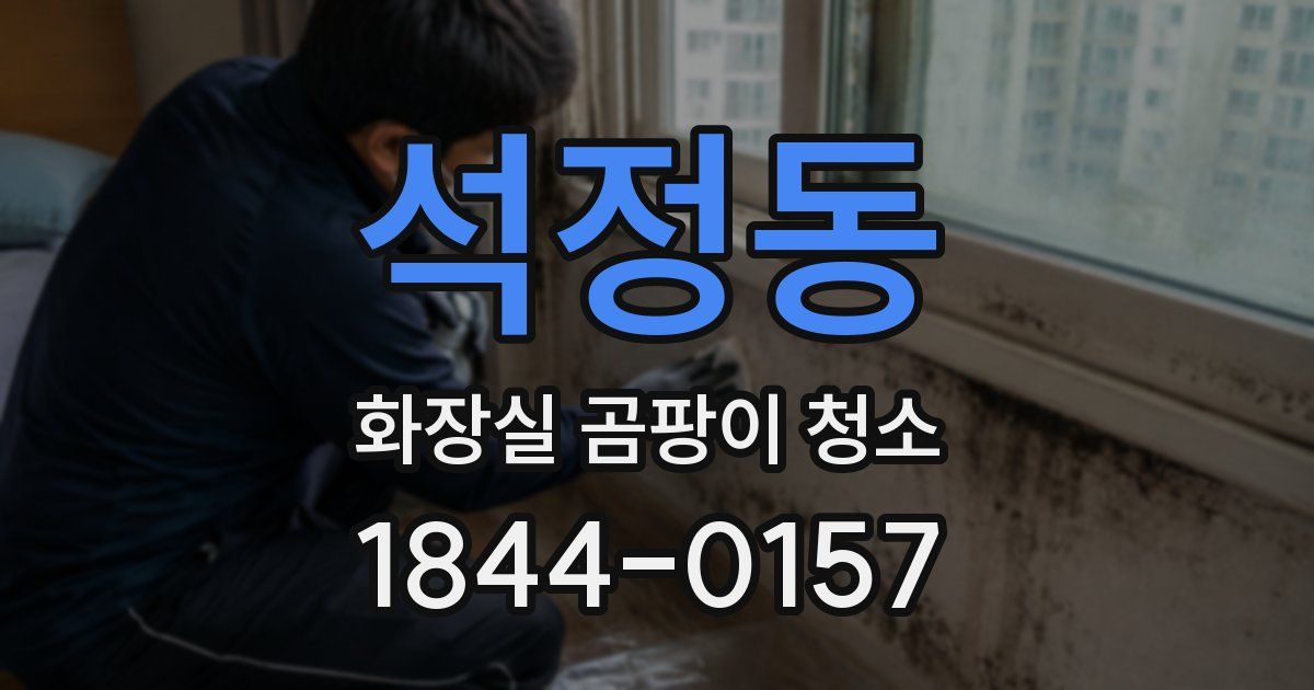 석정동 화장실 곰팡이 청소