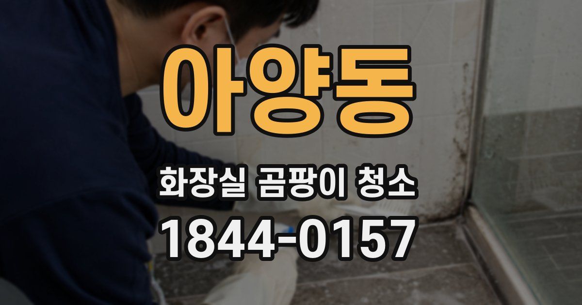 아양동 화장실 곰팡이 청소