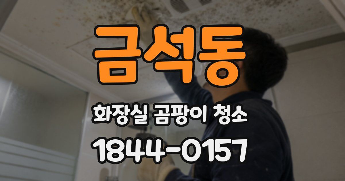 금석동 화장실 곰팡이 청소
