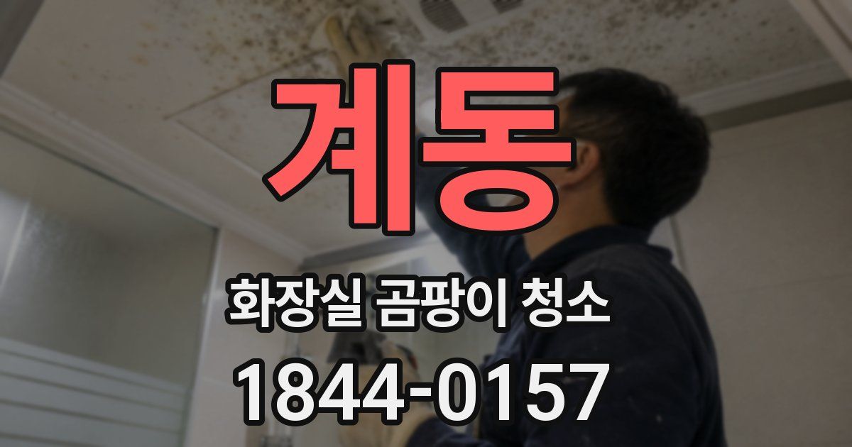 계동 화장실 곰팡이 청소