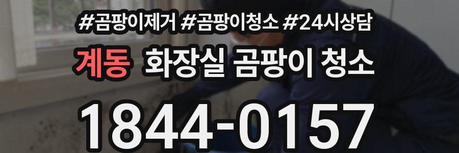 계동 화장실 곰팡이 청소