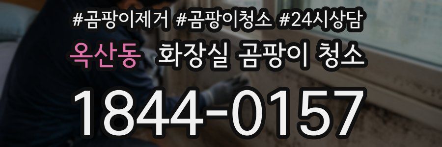 옥산동 화장실 곰팡이 청소