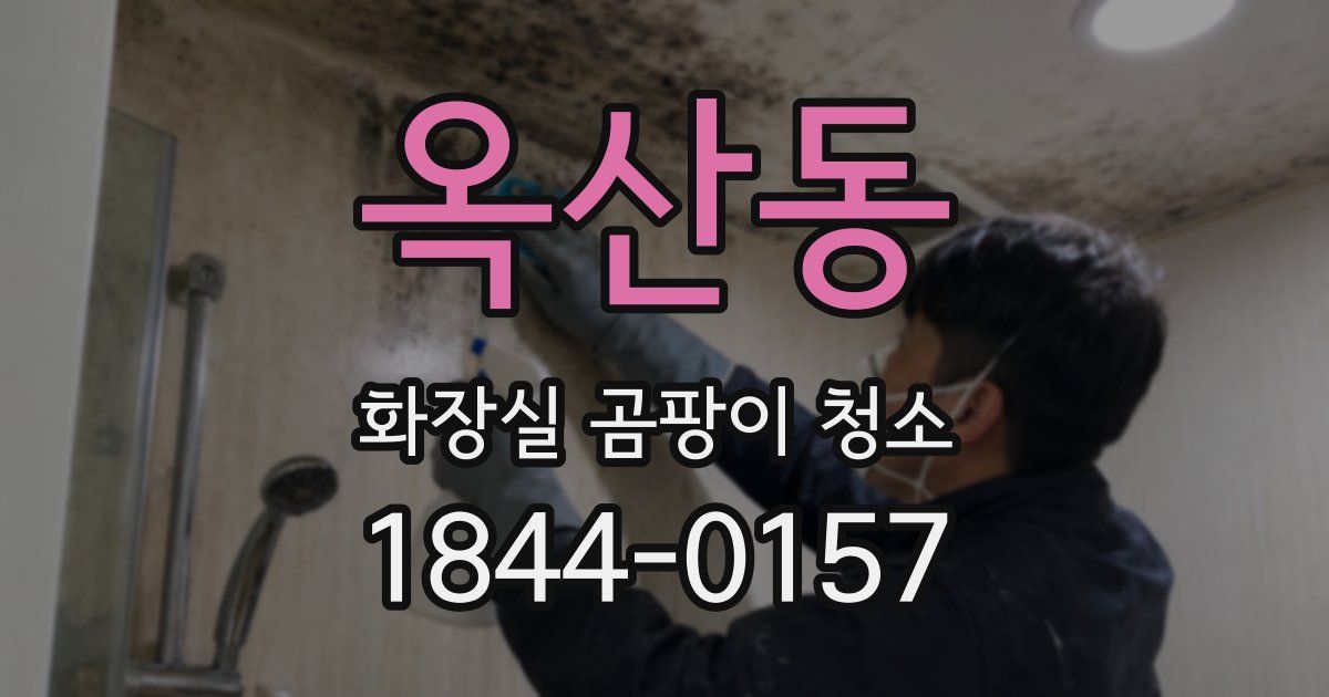 옥산동 화장실 곰팡이 청소