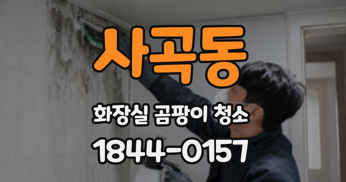 사곡동 화장실 곰팡이 청소