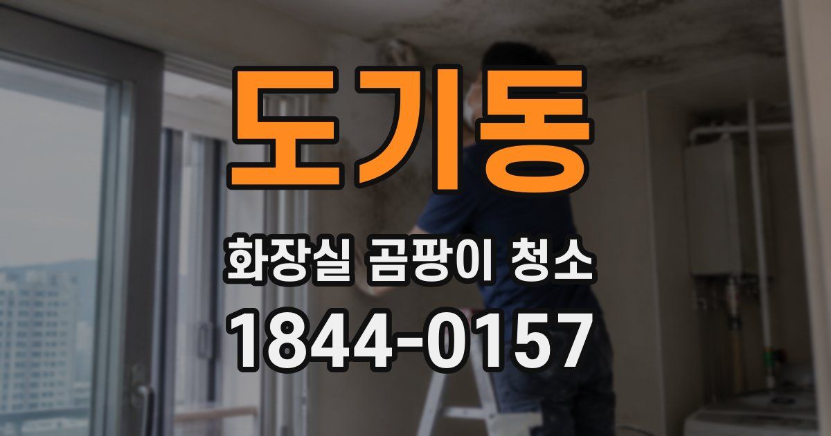 도기동 화장실 곰팡이 청소