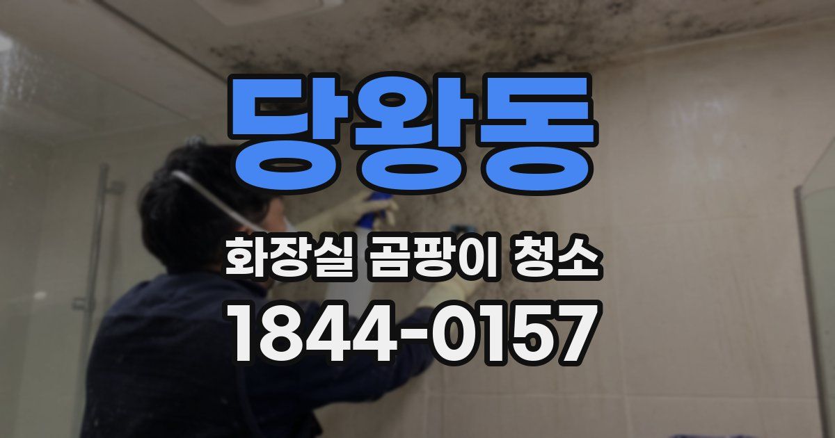 당왕동 화장실 곰팡이 청소