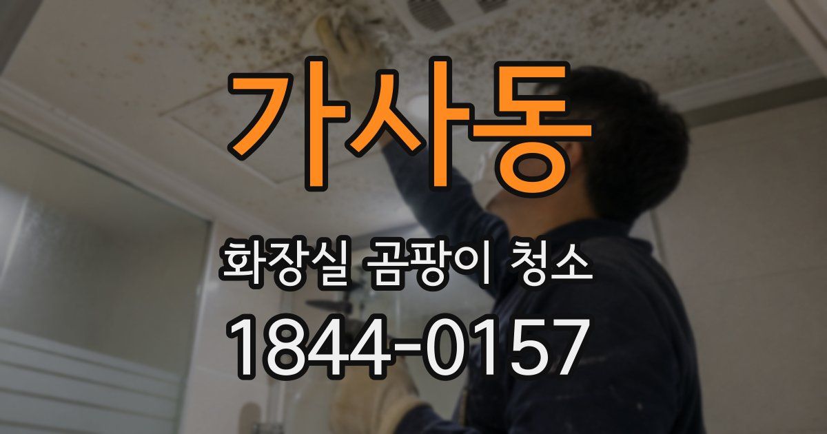 가사동 화장실 곰팡이 청소