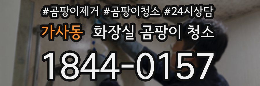 가사동 화장실 곰팡이 청소