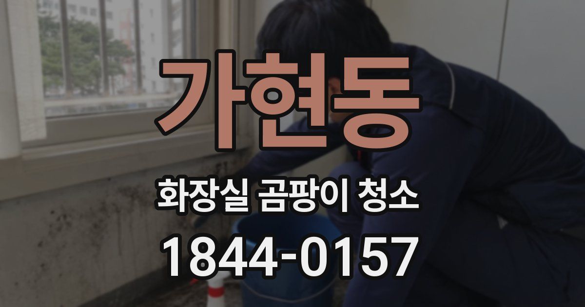가현동 화장실 곰팡이 청소