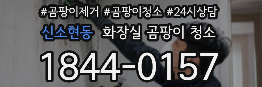 신소현동 화장실 곰팡이 청소