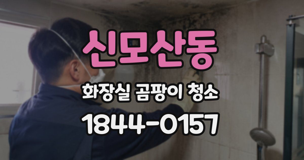 신모산동 화장실 곰팡이 청소