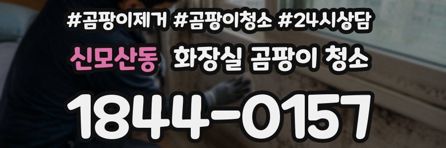신모산동 화장실 곰팡이 청소