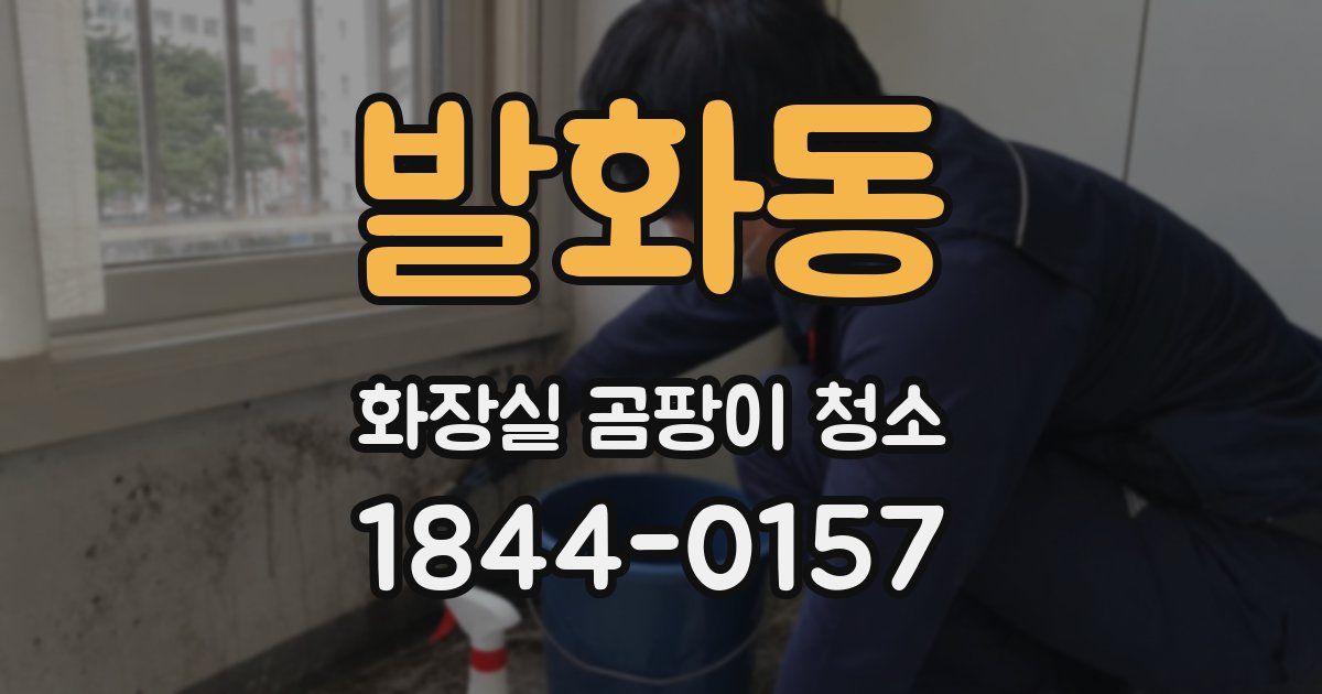 발화동 화장실 곰팡이 청소