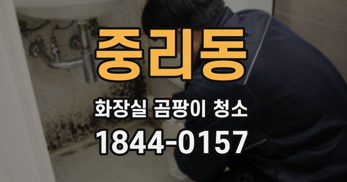 중리동 화장실 곰팡이 청소