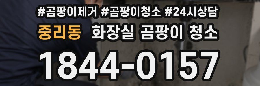 중리동 화장실 곰팡이 청소