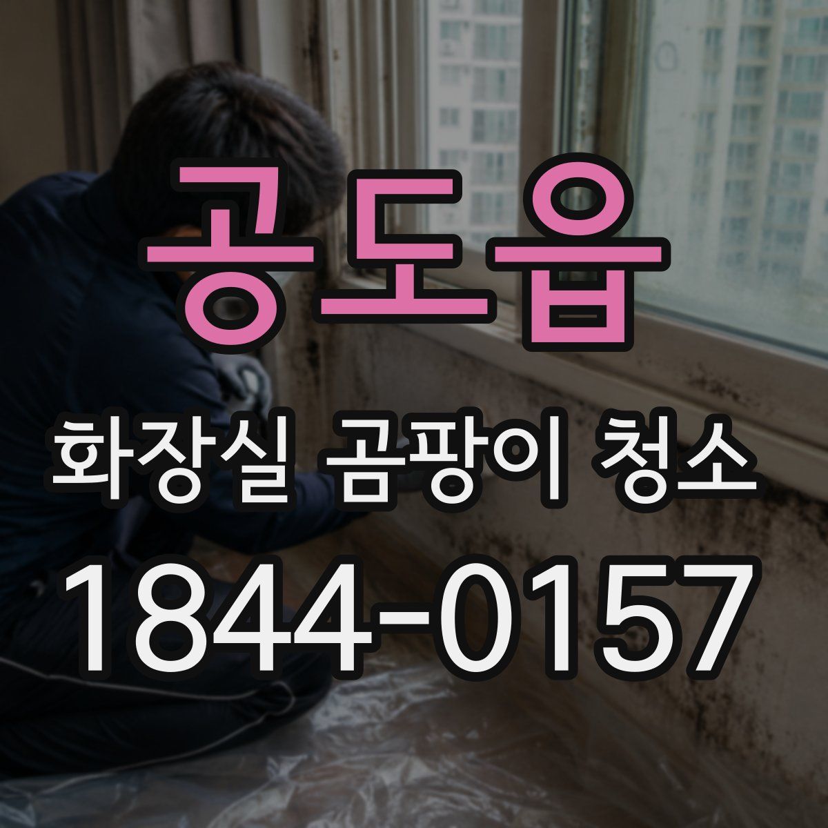 공도읍 화장실 곰팡이 청소