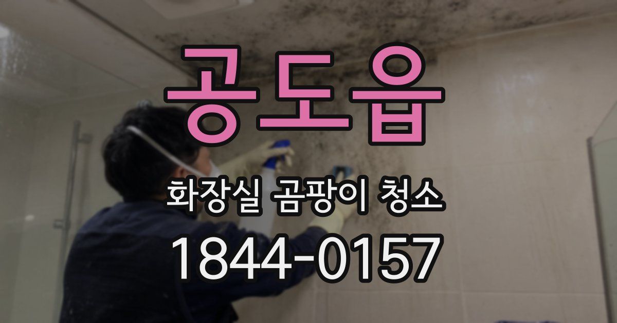 공도읍 화장실 곰팡이 청소