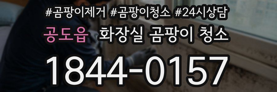 공도읍 화장실 곰팡이 청소