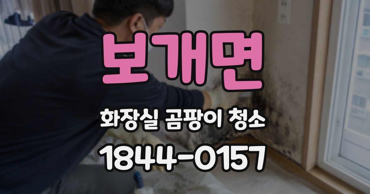 보개면 화장실 곰팡이 청소