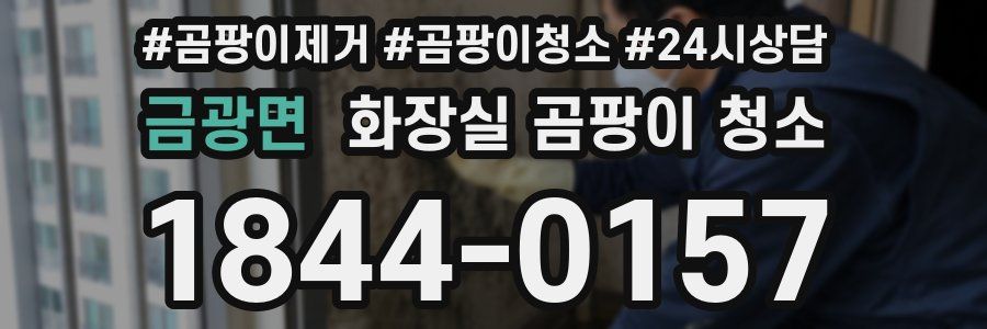 금광면 화장실 곰팡이 청소