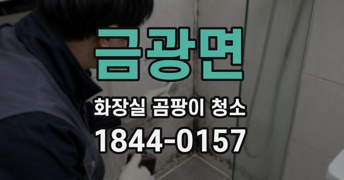 금광면 화장실 곰팡이 청소