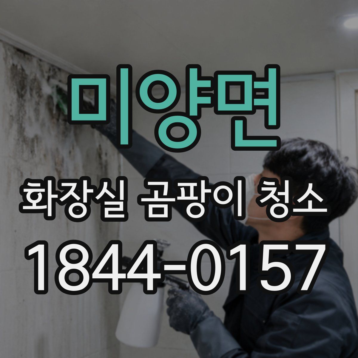 미양면 화장실 곰팡이 청소