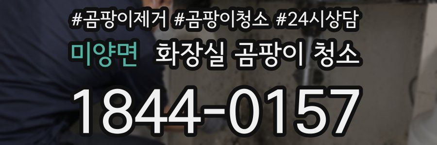 미양면 화장실 곰팡이 청소