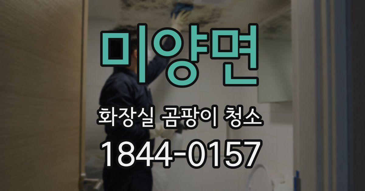 미양면 화장실 곰팡이 청소