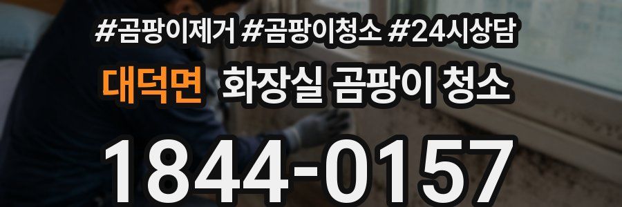 대덕면 화장실 곰팡이 청소