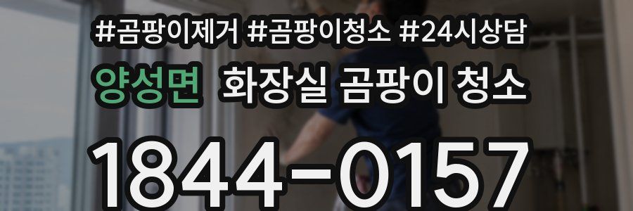 양성면 화장실 곰팡이 청소