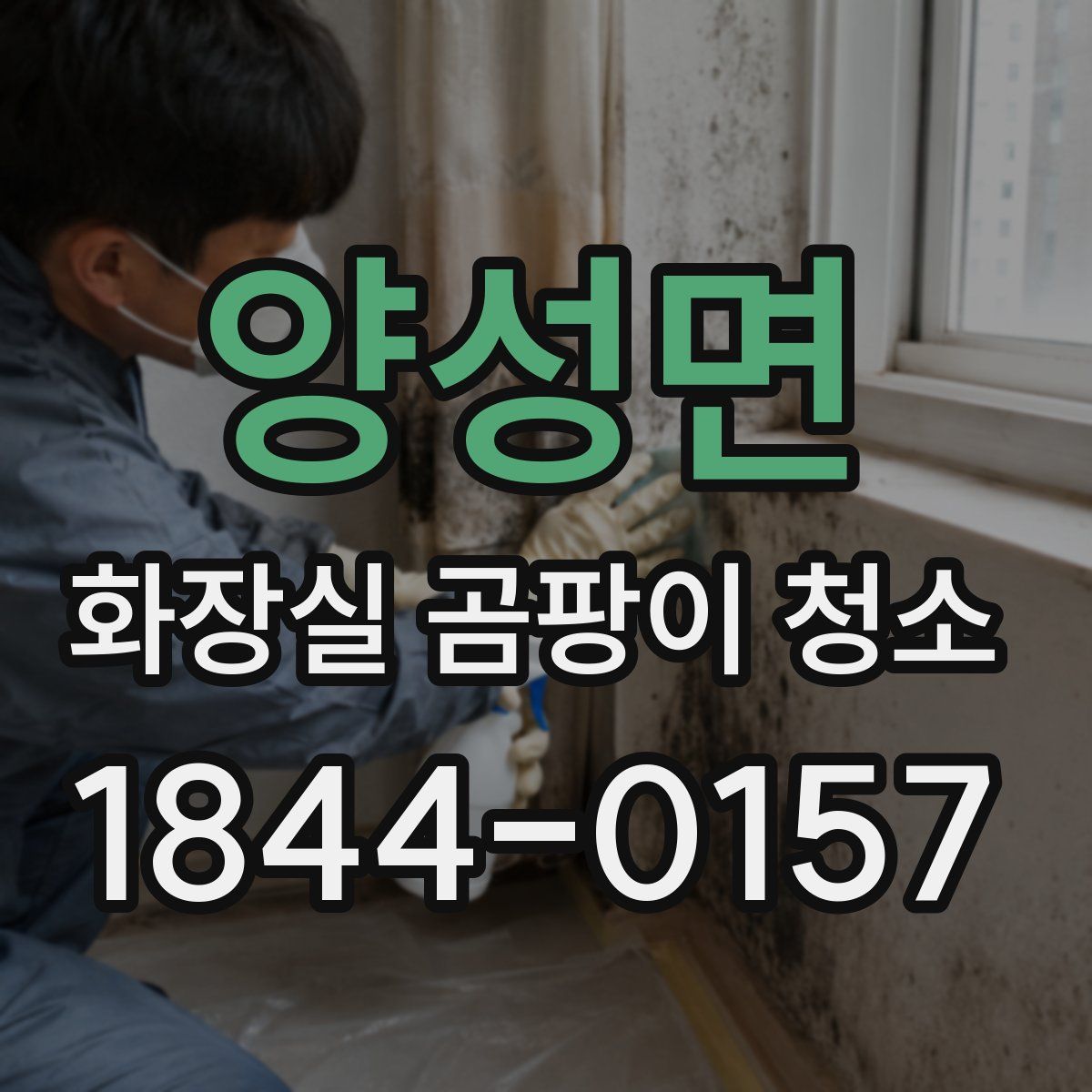 양성면 화장실 곰팡이 청소