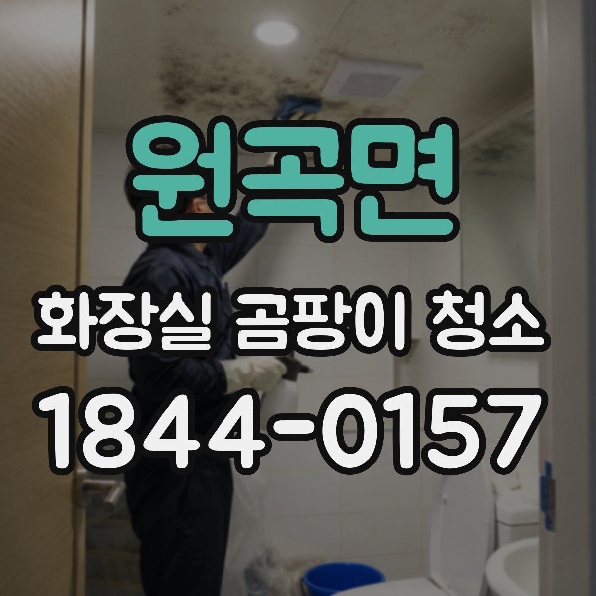 원곡면 화장실 곰팡이 청소