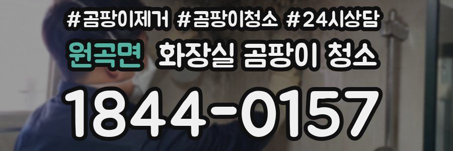 원곡면 화장실 곰팡이 청소