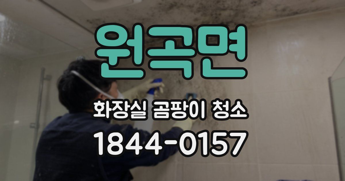 원곡면 화장실 곰팡이 청소