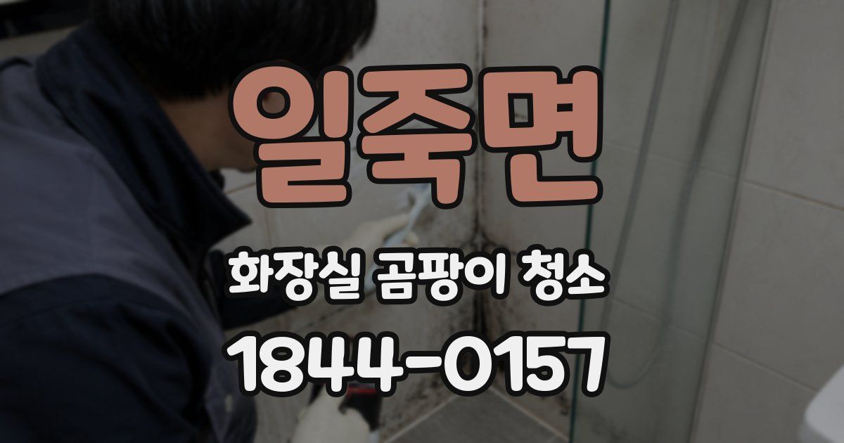 일죽면 화장실 곰팡이 청소