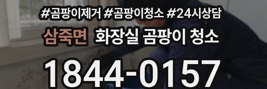 삼죽면 화장실 곰팡이 청소