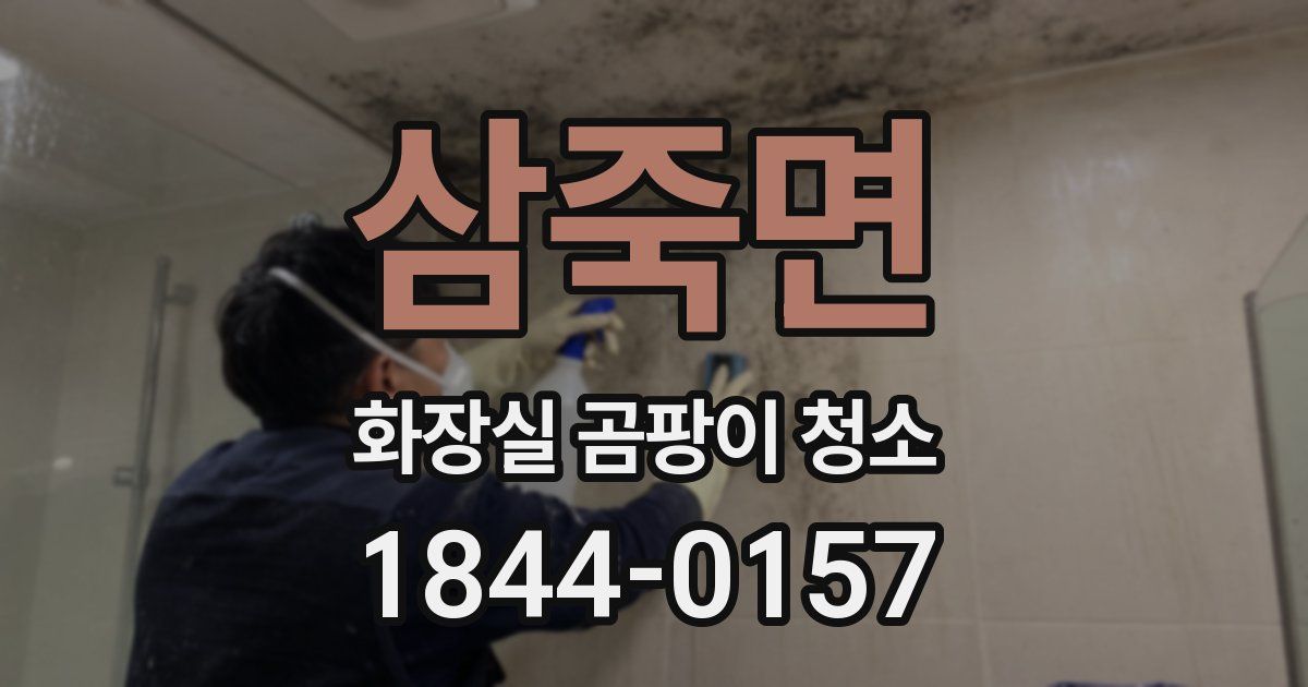 삼죽면 화장실 곰팡이 청소