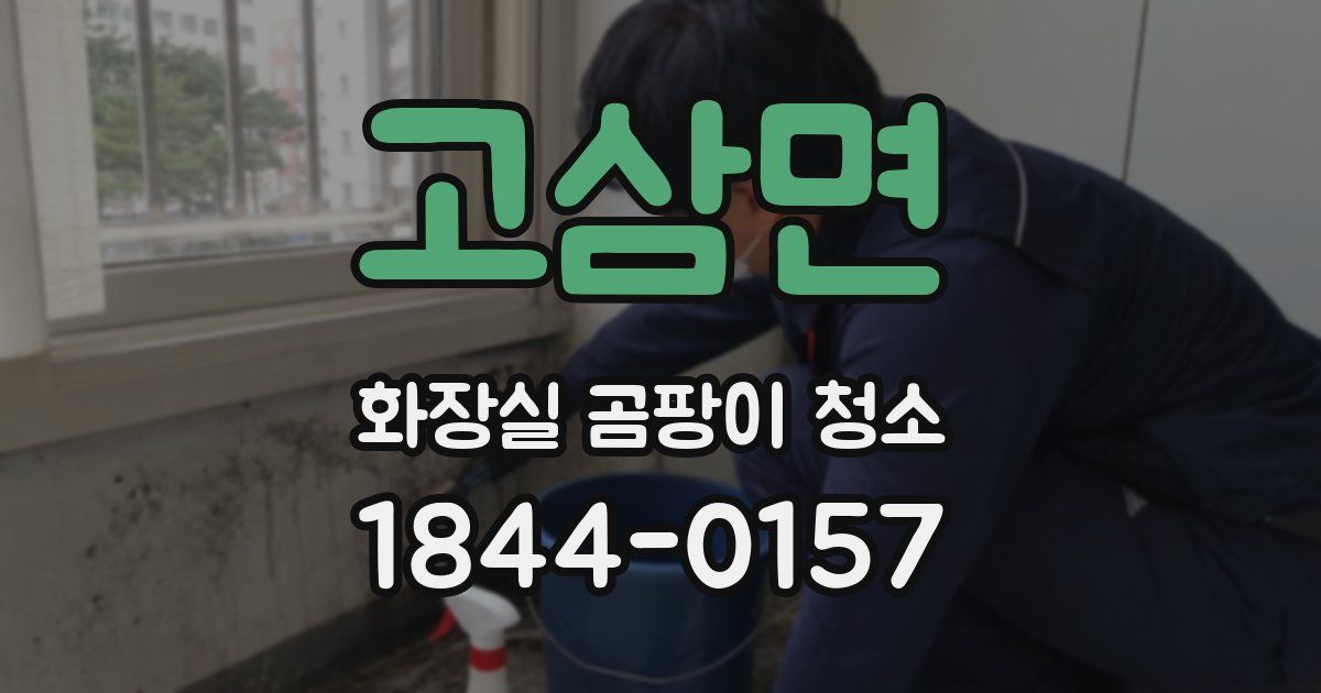고삼면 화장실 곰팡이 청소