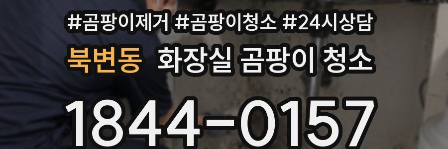북변동 화장실 곰팡이 청소