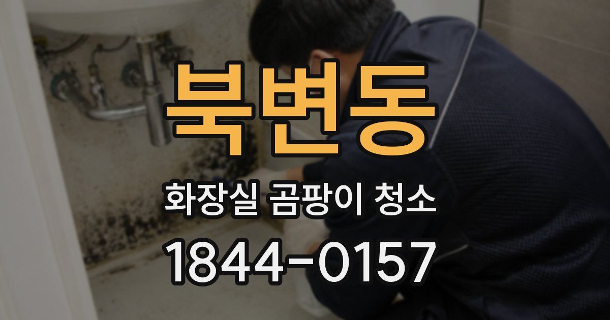 북변동 화장실 곰팡이 청소