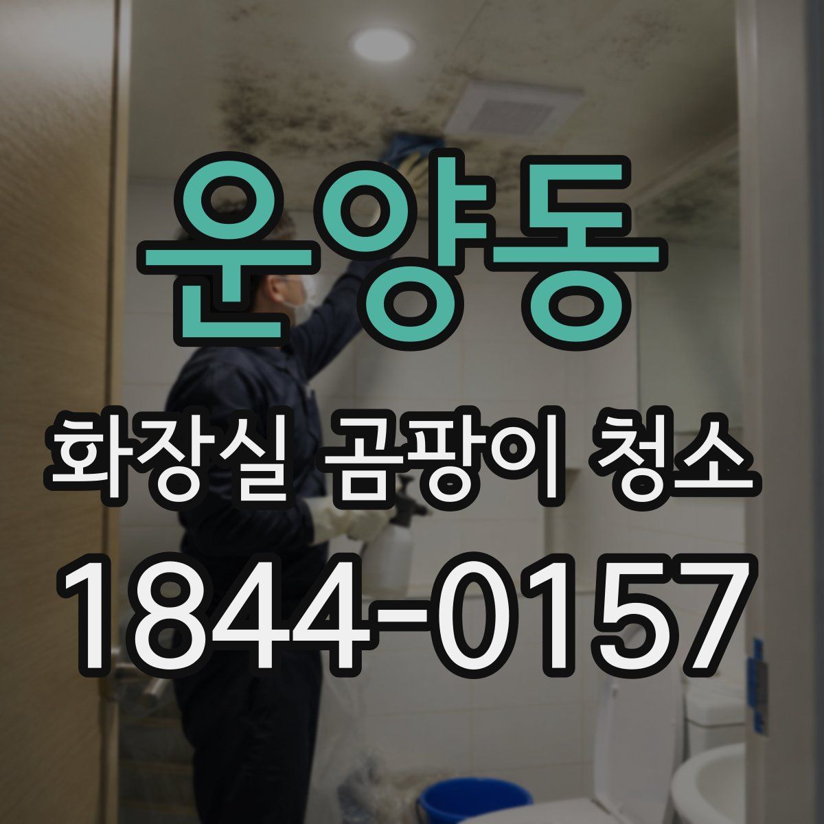 운양동 화장실 곰팡이 청소