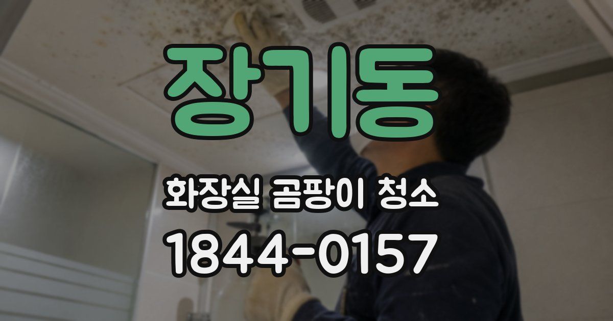 장기동 화장실 곰팡이 청소