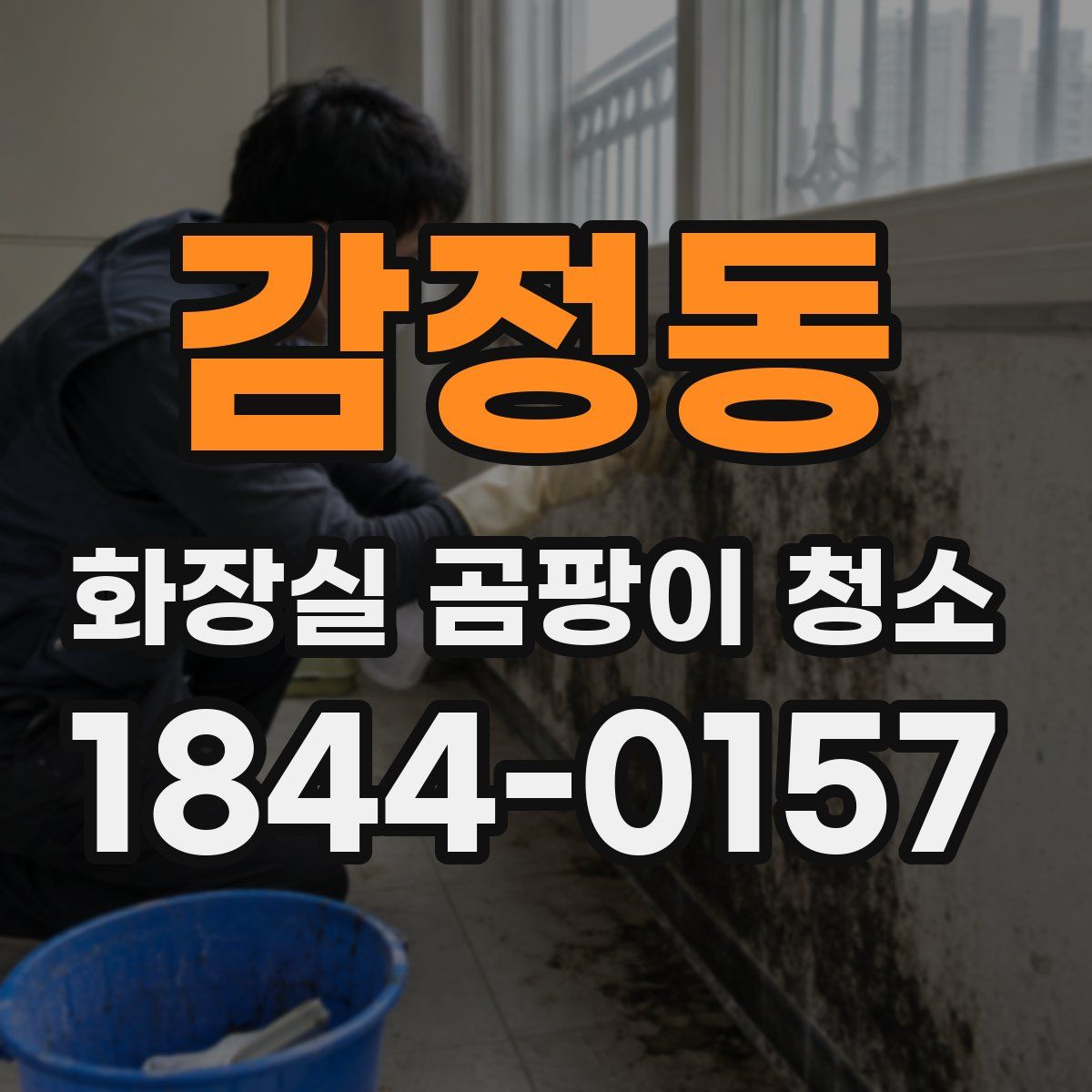 감정동 화장실 곰팡이 청소