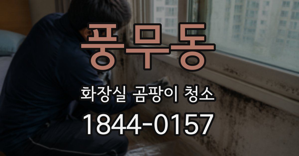 풍무동 화장실 곰팡이 청소