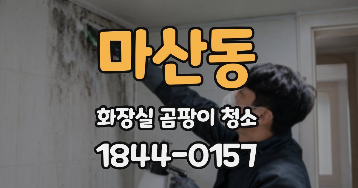 마산동 화장실 곰팡이 청소