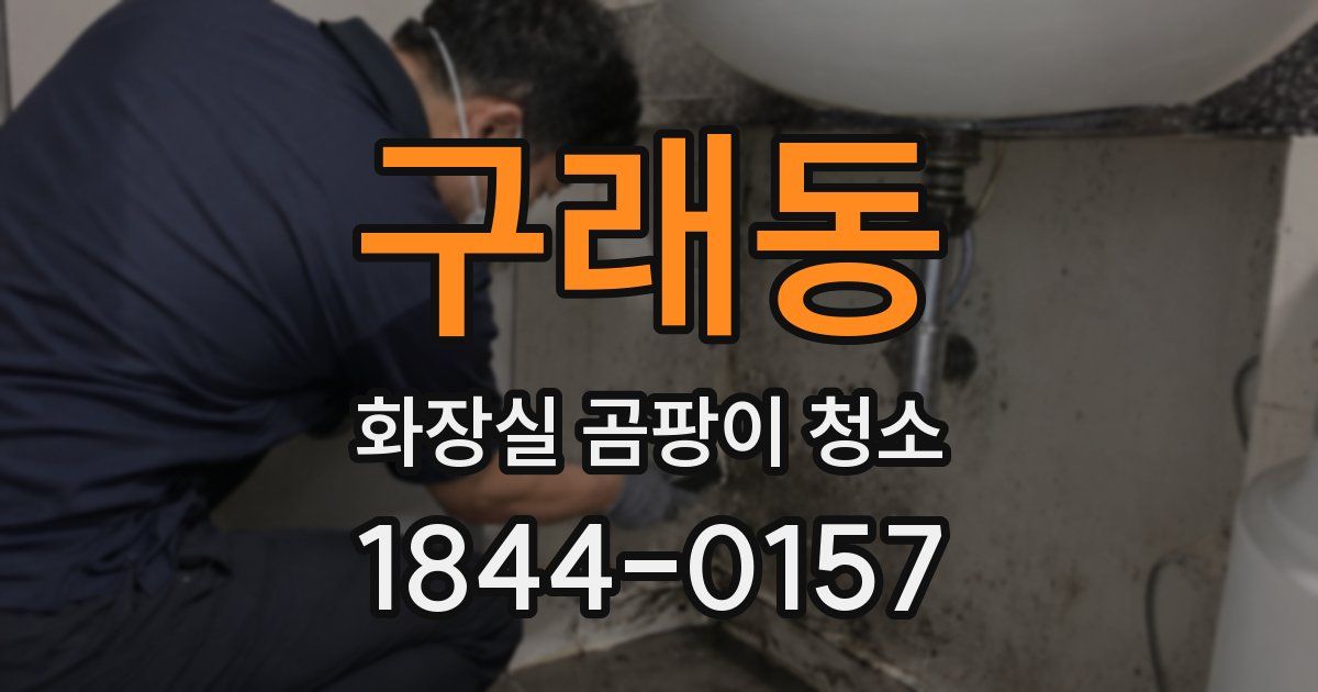 구래동 화장실 곰팡이 청소
