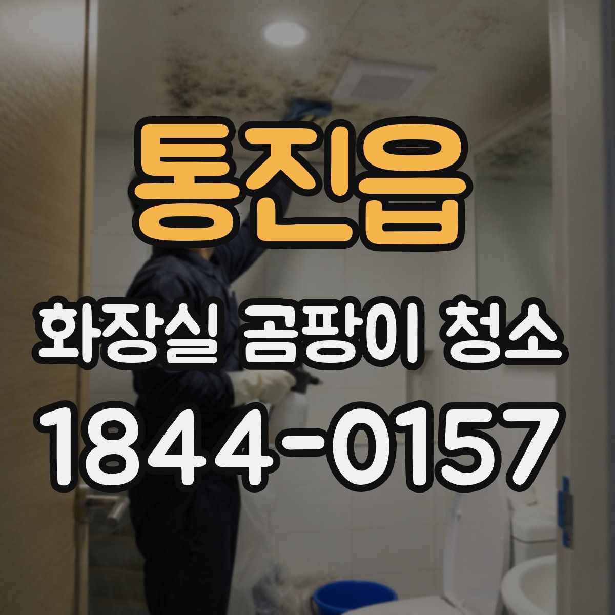 통진읍 화장실 곰팡이 청소
