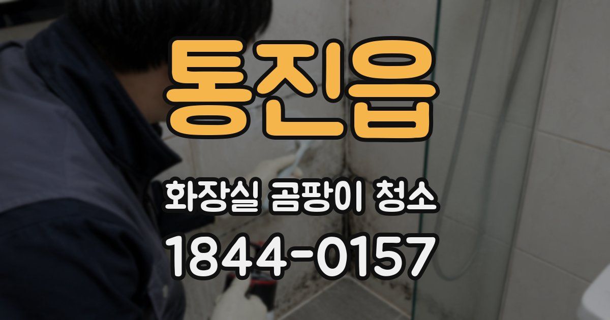 통진읍 화장실 곰팡이 청소