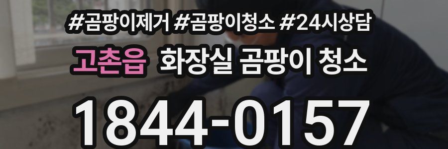 고촌읍 화장실 곰팡이 청소