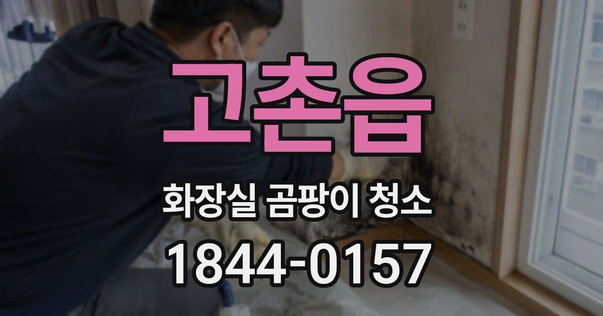 고촌읍 화장실 곰팡이 청소